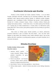  Kelionės į Braziliją organizavimas 3 puslapis