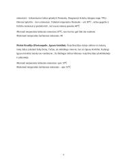  Kelionės į Braziliją organizavimas 5 puslapis