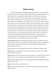  Kelionės į Braziliją organizavimas 7 puslapis