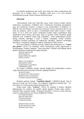 Antanas Miškinis 2 puslapis