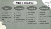 Stresas ir kaip jį valdyti 6 puslapis