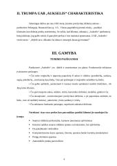 Aplinkos analizė: UAB "Aukselis" 4 puslapis