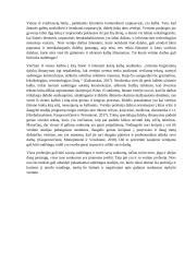 Vertėjo profesijos sunkumai 2 puslapis