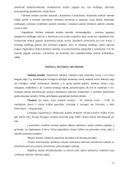 Taikomoji aplinkos apsauga 11 puslapis