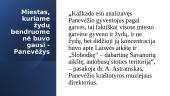 Lietuvos gyventojų tautinė sudėtis 16 puslapis