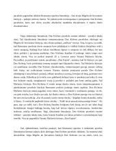 Don Kichoto paveikslo reikšmės Renesanso epochoje ir dabartinėje literatūroje 2 puslapis