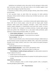 Apskaita ir analizė 11 puslapis