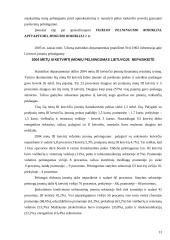 Apskaita ir analizė 13 puslapis