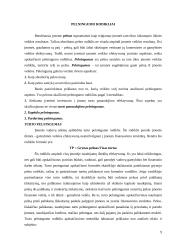 Apskaita ir analizė 9 puslapis