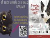 Socialiniai tinklai socialinio marketingo veiklos atžvilgiu 14 puslapis