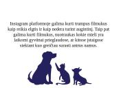 Socialiniai tinklai socialinio marketingo veiklos atžvilgiu 19 puslapis