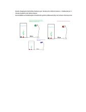 Fotosintezės greičio priklausomybė nuo šviesos bangų ilgio 2 puslapis