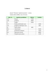 Apskaita: įmonė "Elementas" 2 puslapis