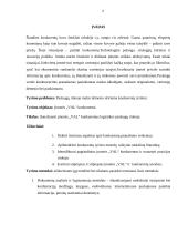 UAB „Val“ įmonės konkurentų analizė 3 puslapis