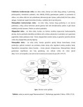 UAB „Val“ įmonės konkurentų analizė 5 puslapis