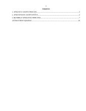 Apskaitos ir audito ryšys, bendrieji apskaitos principai 2 puslapis
