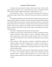 Apskaitos ir audito ryšys, bendrieji apskaitos principai 3 puslapis