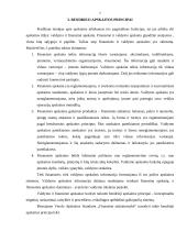 Apskaitos ir audito ryšys, bendrieji apskaitos principai 7 puslapis