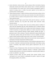 Apskaitos ir audito ryšys, bendrieji apskaitos principai 8 puslapis