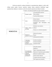 LR mokesčiu sistema, jos raida ir tobulinimo kryptys 13 puslapis