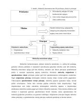 LR mokesčiu sistema, jos raida ir tobulinimo kryptys 16 puslapis