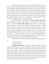 LR mokesčiu sistema, jos raida ir tobulinimo kryptys 17 puslapis