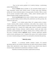 LR mokesčiu sistema, jos raida ir tobulinimo kryptys 4 puslapis