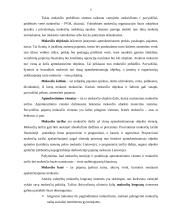 LR mokesčiu sistema, jos raida ir tobulinimo kryptys 6 puslapis