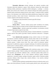 LR mokesčiu sistema, jos raida ir tobulinimo kryptys 9 puslapis