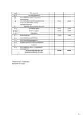 Apskaitos pagrindų modulis 11 puslapis