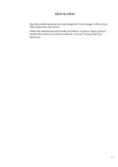 Medinis šaukštas. Technologijų projektas 3 puslapis