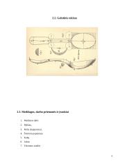 Medinis šaukštas. Technologijų projektas 9 puslapis