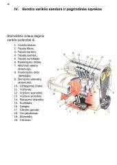 Nesudėtingų transporto priemonių konstrukcija ir techninė priežiūra 17 puslapis