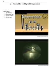 Nesudėtingų transporto priemonių konstrukcija ir techninė priežiūra 20 puslapis