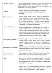 Santrauka "Faustas" 2 puslapis