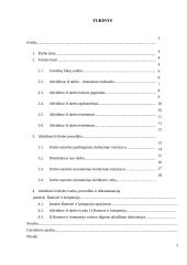 Atleidimo iš darbo tvarka,  taikomos procedūros, dokumentacija IĮ "Ramunė ir kompanija" 2 puslapis