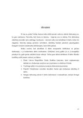 Atleidimo iš darbo tvarka,  taikomos procedūros, dokumentacija IĮ "Ramunė ir kompanija" 17 puslapis