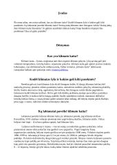 Klimato kaita ir jo daroma žala 2 puslapis