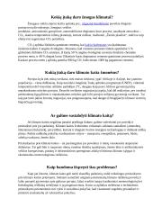 Klimato kaita ir jo daroma žala 3 puslapis