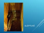 Prie draudžiamos knygos slaptojoje mokykloje 11 puslapis