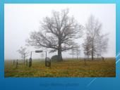 Prie draudžiamos knygos slaptojoje mokykloje 7 puslapis