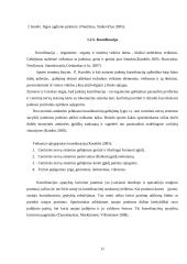  10-14 metų amžiaus dziudo imtynininkų fizinės ypatybės, jų kaita ir priklausomybė nuo treniravimosi laiko 11 puslapis