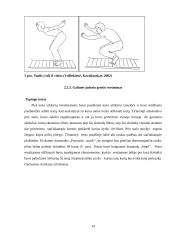  10-14 metų amžiaus dziudo imtynininkų fizinės ypatybės, jų kaita ir priklausomybė nuo treniravimosi laiko 14 puslapis