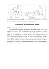  10-14 metų amžiaus dziudo imtynininkų fizinės ypatybės, jų kaita ir priklausomybė nuo treniravimosi laiko 16 puslapis