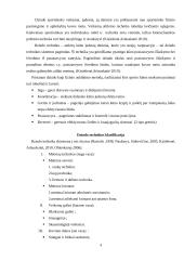  10-14 metų amžiaus dziudo imtynininkų fizinės ypatybės, jų kaita ir priklausomybė nuo treniravimosi laiko 4 puslapis