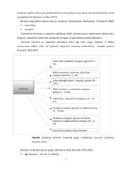  10-14 metų amžiaus dziudo imtynininkų fizinės ypatybės, jų kaita ir priklausomybė nuo treniravimosi laiko 7 puslapis