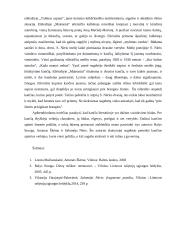 Kančia lietuvių literatūroje 3 puslapis
