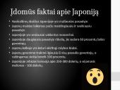 Japonija: geografija, ekonomika bei transportas 15 puslapis