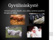 Japonija: geografija, ekonomika bei transportas 6 puslapis