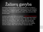 Japonija: geografija, ekonomika bei transportas 7 puslapis